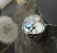 /album/unsere-werke-3/ring-1-klar-jpg/